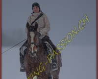 SEMSALES - 0053
